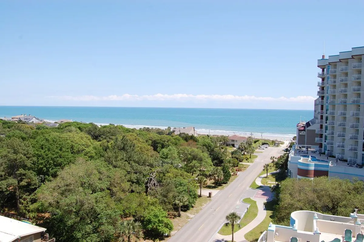 A panoramic view from above showing the ocean, a line of trees, a road, and several buildings. The image conveys the proximity of the community to the beach and natural landscapes, inviting exploration and beach walks.